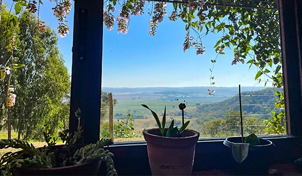 Vista de uma janela com plantas e uma paisagem de campo ao fundo, sob um céu azul claro, decorada com flores penduradas no topo, trazendo sensação de tranquilidade e natureza.