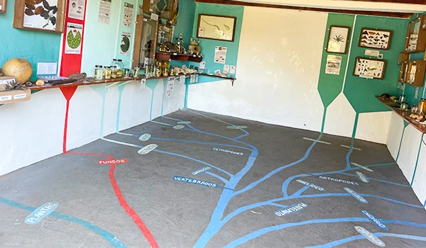Sala de aula com um mapa interativo do sistema sanguíneo desenhado no chão, destacando artérias, veias, capilares e coração, ideal para educação em saúde.