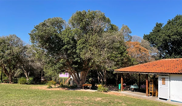 Imagem da fazenda com árvores grandes e uma estrutura de abrigo com telhado de duas águas, sob um céu azul claro, ideal para lazer ao ar livre.