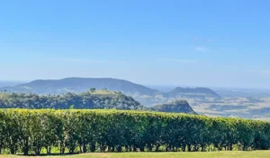 Paisagem rural com hortas bem cuidadas, uma cadeia de montanhas ao fundo e céu azul claro, ideal para apreciação da natureza e atividades ao ar livre.