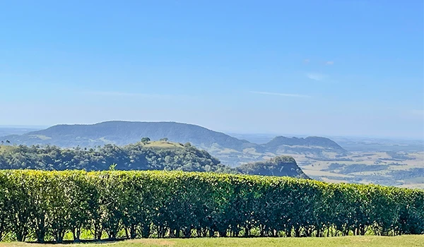 Paisagem rural com hortas bem cuidadas, uma cadeia de montanhas ao fundo e céu azul claro, ideal para apreciação da natureza e atividades ao ar livre.