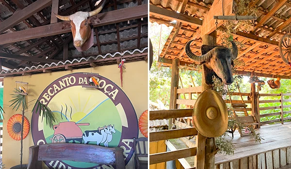Imagem de um espaço rústico com decoração temática de fazenda, incluindo chifres de animais, placas de madeira, e decoração de animais, ideal para quem busca um ambiente com estilo country e natureza.