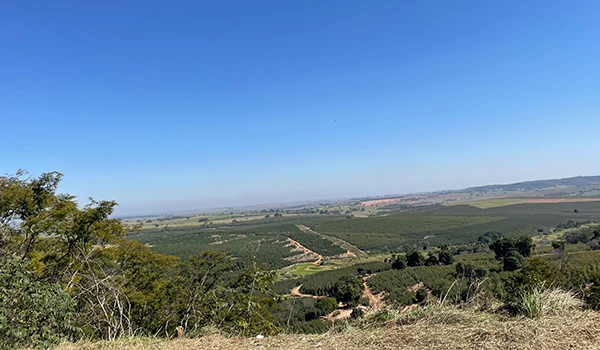 Vista deslumbrante de um vasto campo agrícola com plantações verdes e horizonte distante, sob céu claro de dia em uma paisagem rural de grande beleza natural. O que fazer em Marília.