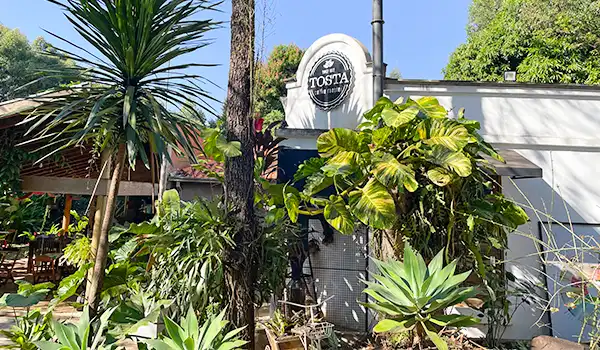 Cenário externo da fazenda de café, com vegetação tropical verde, plantas grandes, árvores e ambiente ao ar livre, em um dia ensolarado. Rotas Gastronômicas do interior de SP.