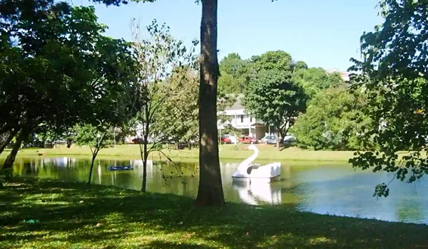 Imagem do lago com uma cisne de madeira flutuando na água, árvores verdes ao redor e uma casa ao fundo em um dia ensolarado.
