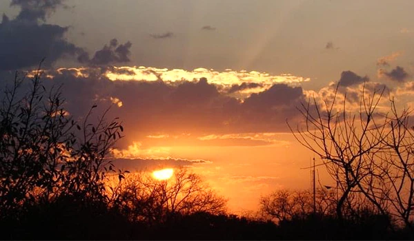 Céu ao pôr do sol na África com nuvens douradas e silhuetas de árvores no horizonte, criando uma cena serena e natural.