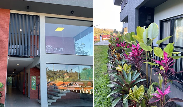 Imagem de fachada moderna de um prédio comercial com janela de vidro e plantas ornamentais verdes e rosas no jardim ao lado, em um ambiente externo bem cuidado.