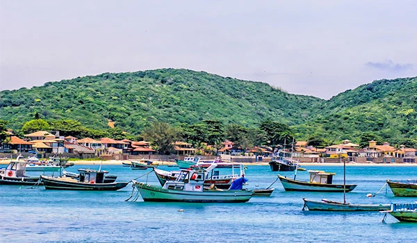 Paisagem de um porto com vários barcos de pesca e águas calmas, ao fundo morros verdes e um vilarejo costeiro sob céu nublado.