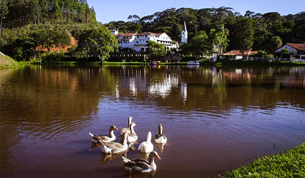 Linda cena de rio com patos, casas e vegetação ao fundo, destacando a tranquilidade e beleza natural da paisagem brasileira com foco no rio e na natureza ao redor.