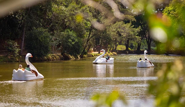 Pessoas no lago em meio à natureza exuberante, com árvores verdes ao redor e águas calmas, num dia ensolarado.