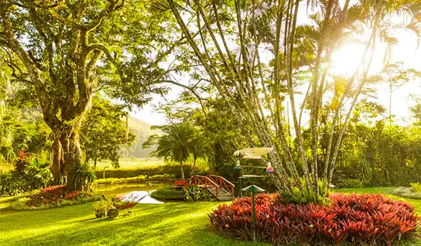 Cenário exuberante de natureza com árvores, jardim bem cuidado, iluminação do sol e ambiente tranquilo, ideal para passeios ao ar livre.
