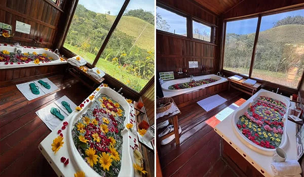 Banheira de hidroterapia com floresta ao redor, criando um espaço relaxante para banho de imersão em meio à natureza na região de Santa Catarina.