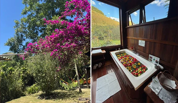 Imagem de um jardim tropical com árvores florescendo e um ambiente de spa com banheira de hidromassagem decorada com flores, criando uma atmosfera relaxante e natural.
