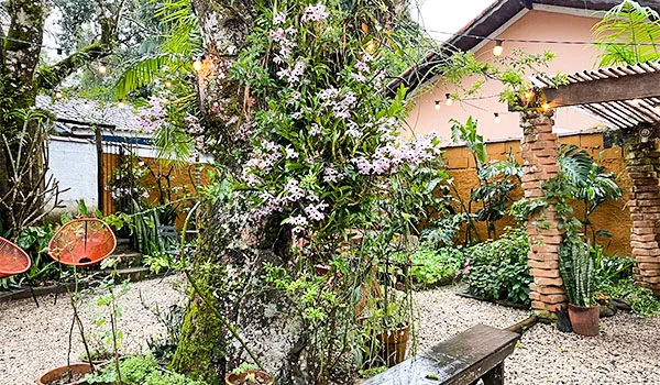 “Jardim interno arborizado, com um grande tronco coberto por plantas e flores, vasos de diferentes espécies, duas cadeiras suspensas vermelhas à esquerda e um banco de madeira em primeiro plano. Ao fundo, há paredes claras, telhado e uma estrutura de tijolos aparentes.”