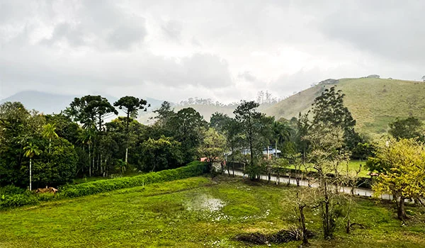 Paisagem rural com área gramada e vegetação exuberante, incluindo árvores altas e araucárias. Ao fundo, há uma estrada cercada por árvores e uma montanha coberta de vegetação sob um céu nublado.