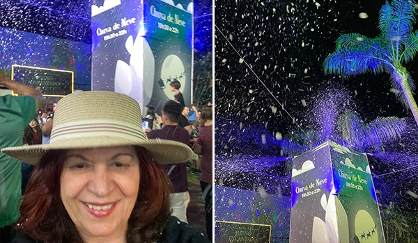 Deusa Rodrigues observando a chuva de neve.