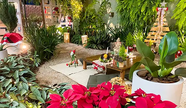 Decoração de Natal ao ar livre com plantas verdes, mesa de jardim decorada, árvore de Natal artesanal e ambiente aconchegante ao ar livre. Parada de Natal de Holambra.