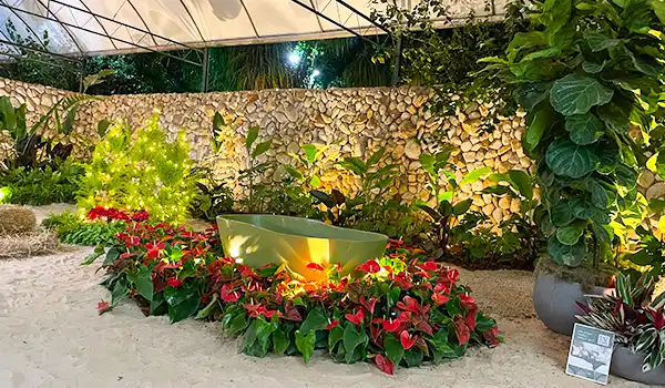 Imagem de jardim com plantas decorativas, incluindo árvores de folhas verdes, flores vermelhas e uma parede de madeira ao fundo, ambiente ao ar livre bem cuidado.