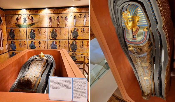 Imagem de uma múmia egípcia antiga exposta em um museu, com decoração egípcia sobreposta e detalhes da máscara de ouro da múmia, destacando-se na exibição. Museu Egípcio e Rosacruz em Curitiba.