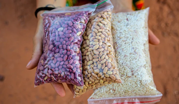 Três sacos plásticos com diferentes tipos de sementes, incluindo feijão roxo, feijão branco e arroz, sendo segurados por uma pessoa, ao ar livre.