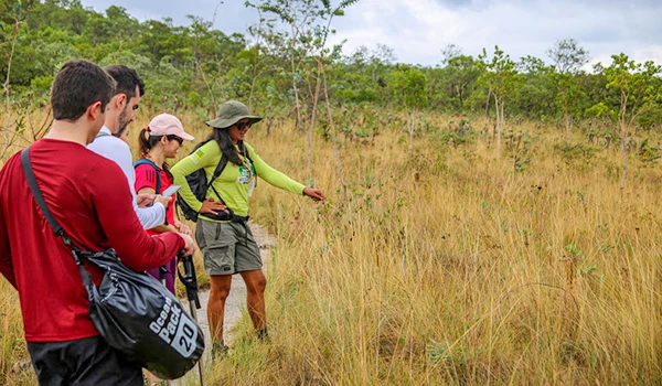 Grupo de pessoas observando uma paisagem de campo na natureza, com vegetação seca e árvores ao fundo, durante um passeio ao ar livre.