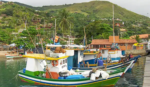 Bela cena de barcos de pesca coloridos ancorados em uma baía tranquila com vegetação exuberante ao fundo, incluindo uma montanha e casas locais na região litorânea do Brasil.
