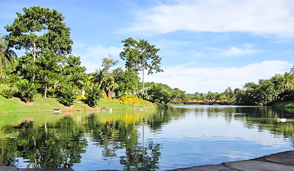 Imagem de uma natureza exuberante com árvores verdes, um rio tranquilo refletindo o céu azul claro com nuvens e um cenário sereno perfeito para relaxar na brisa da natureza.