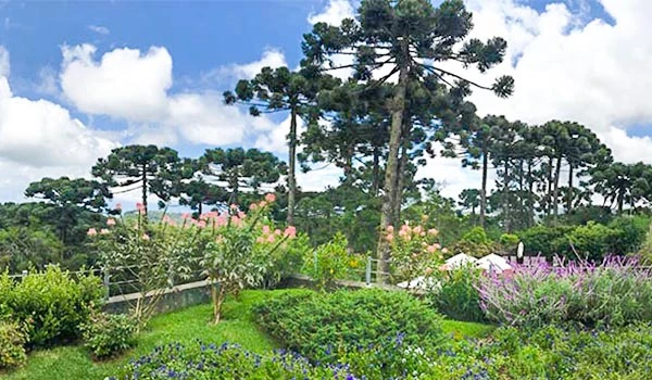 Paisagem de jardim com árvores de pinheiro, flores coloridas e céu parcialmente nublado, ideal para relaxamento e contato com a natureza.