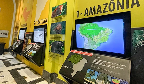 Exposição sobre a Amazônia com painéis explicativos e mapas detalhados da floresta amazônica. Atrações do Museu Catavento.