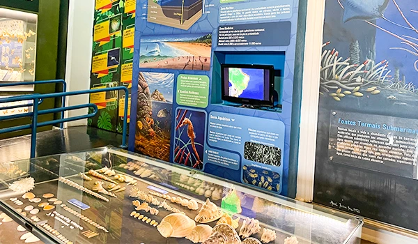 Exposição de fósseis marinhos e informações sobre oceanografia em um museu, com destaque para a história dos oceanos e suas criaturas.