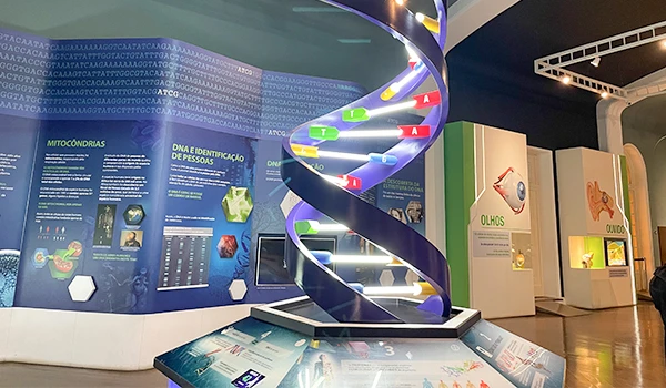 Exposição de ciência com uma estrutura de DNA em destaque e painéis informativos sobre genética e DNA em um espaço educativo.