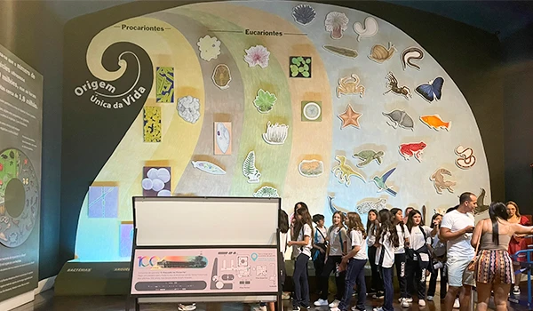 Grupo de estudantes visitando uma exposição de animações sobre o ciclo de vida dos seres vivos, com destaque para os diferentes ecossistemas e animais, em uma escola ou museu.