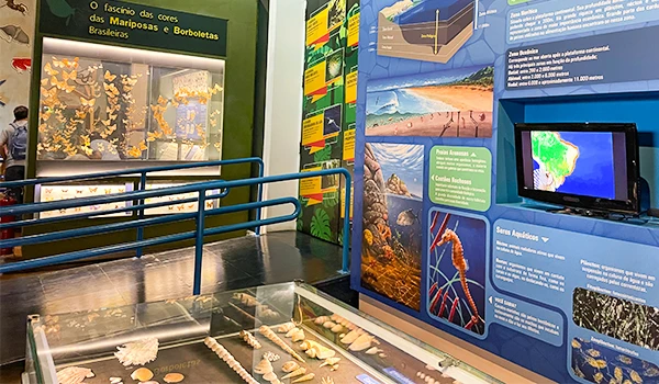 Exposição sobre mariposas e borboletas brasileiras com informações educativas e destaque para a diversidade de espécies na natureza.