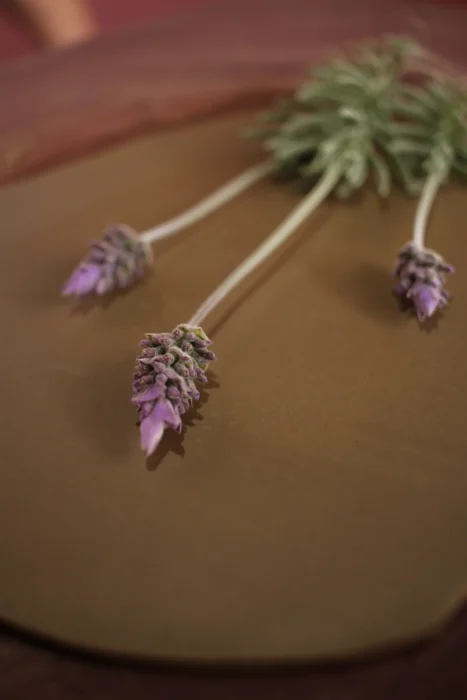 Lâminas de lavanda roxa secas presas por pequenos talos brancos, formando um arranjo decorativo sobre fundo marrom com profundidade de campo desfocada.