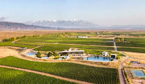 Foto aérea de uma hotel em meio a uma vinícola em Mendoza.