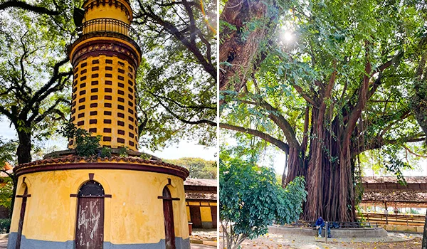 2 imagens, uma de uma construção antiga, um pompal e ao lado uma árvore centenária no Parque da Água Branca.