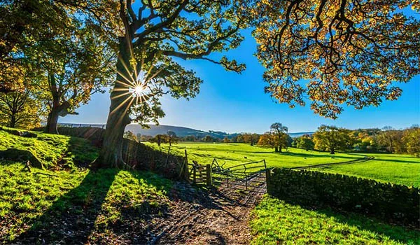 Foto de uma paisagem de campo com árvores e montanhas, além da cerca e porteira em um lindo dia de sol no interior de São Paulo.