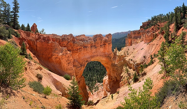 Foto do Bryce Canyon National Park com paisagem de arenito em árvores em contraste com céu azul.