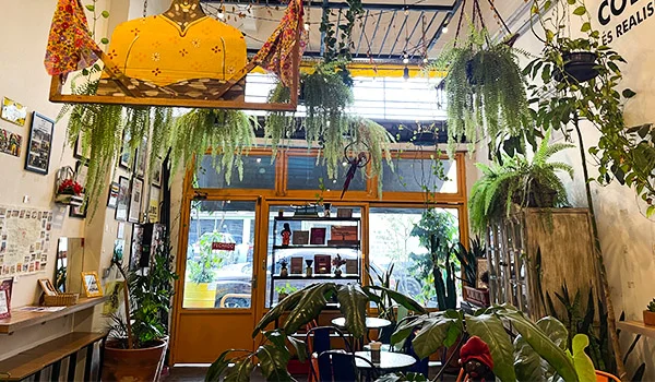 Foto interna do Café Colombiano, onde se nota uma decoração típica com muitas plantas.