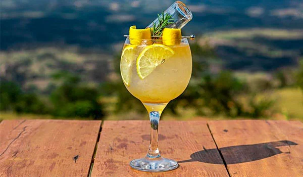 Taça de bebida amarelada sobre uma mesa de madeira, decorada com rodelas de limão, pedaços de casca de limão e um ramo de alecrim. Ao fundo, há uma paisagem natural desfocada.