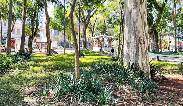 Área arborizada da Praça Dom Orione, com árvores, canteiros de plantas, bancos, caminhos e uma pequena estrutura coberta ao centro.