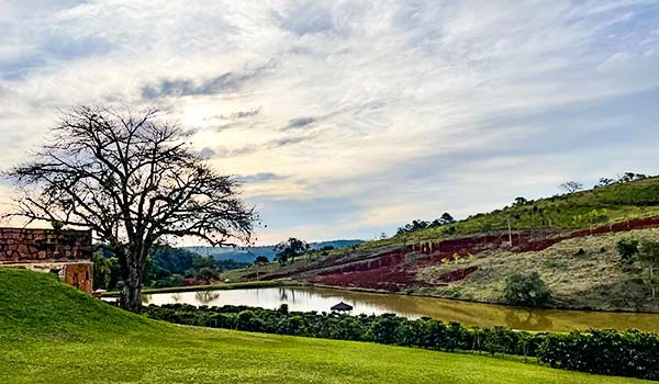 foto de uma região campestre com lago e árvores.