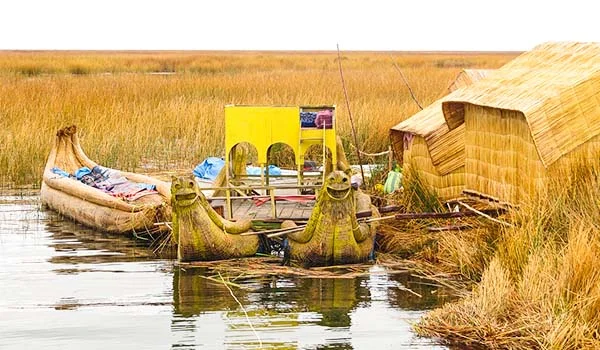 Casas de junco e embarcações tradicionais de totora às margens do Lago Titicaca, na Bolívia, cercadas por extensos campos de juncos dourados.